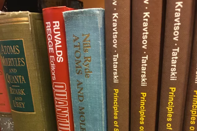 Books on a shelf. Photo.