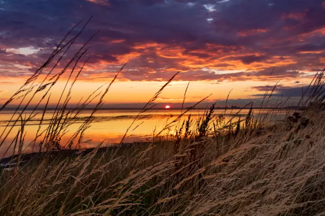 Bjärred, Skåne.  Photo credit: Florent Renaud
